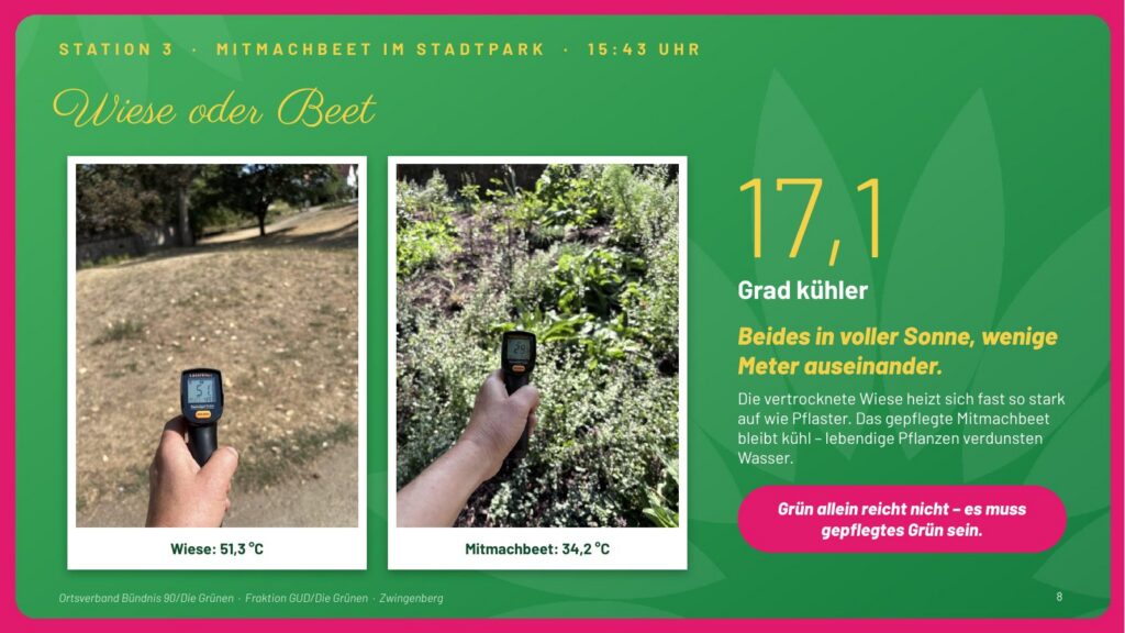 Folie 8: Wiese oder Beet. Beides in voller Sonne: vertrocknete Wiese 51,3 °C, Mitmachbeet 34,2 °C – 17,1 Grad kühler. Grün allein reicht nicht – es muss gepflegtes Grün sein.
