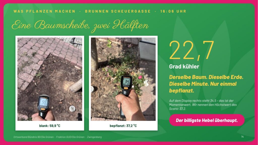 Folie 14: Eine Baumscheibe, zwei Hälften. Blanke Erde 59,9 °C, bepflanzte Hälfte 37,2 °C – 22,7 Grad kühler. Derselbe Baum, dieselbe Erde, dieselbe Minute. Der billigste Hebel überhaupt.