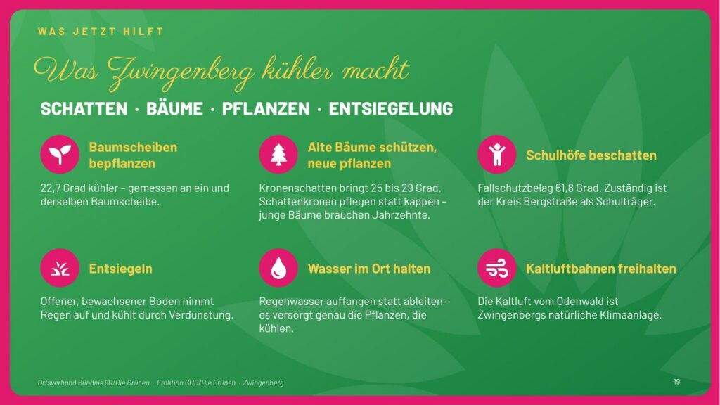 Folie 19: Was Zwingenberg kühler macht: Baumscheiben bepflanzen, alte Bäume schützen und neue pflanzen, Schulhöfe beschatten, entsiegeln, Wasser im Ort halten, Kaltluftbahnen freihalten.